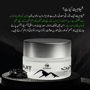 what is shilajit