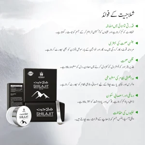 benefits of shilajit